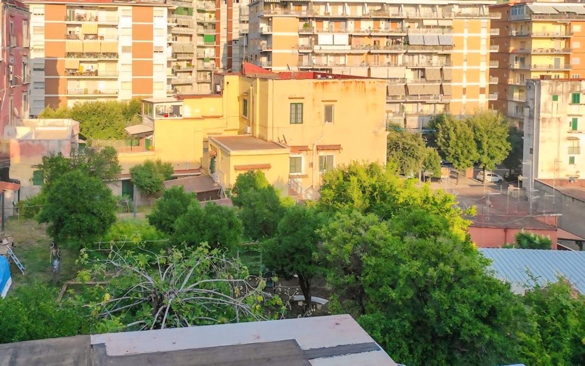 Tra I Giardini Della Scalinata Di San Gennaro * Naples